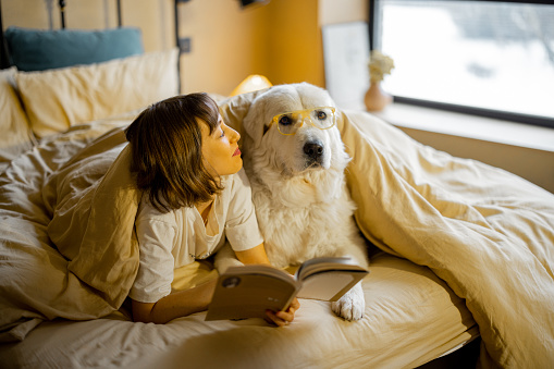 Young woman with her cute dog in eyeglasses reading a book while lying togther under a blanket in bedroom. Spending leisure time, friendship with pet concept