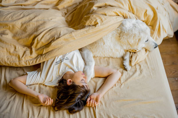 istock Woman sleeps with her cute dog in bed 1462956500