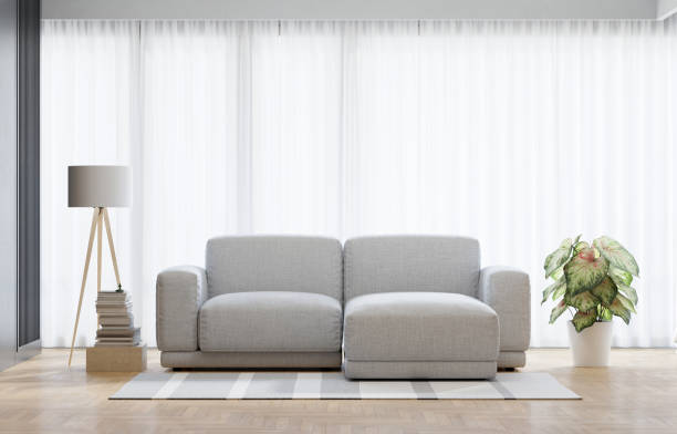 istock Gray sofa in white living room with copy space, 3D rendering 1462956823