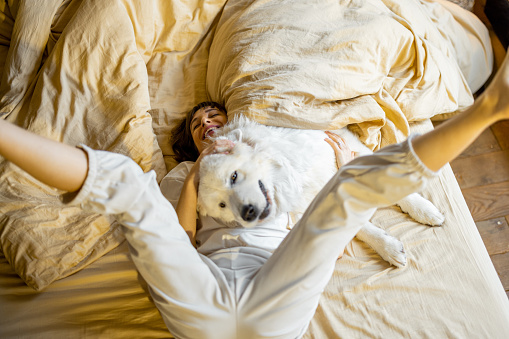 Happy woman playing with her dog jumping and hugging together on bed at home. Concept of leisure time with pets and happiness