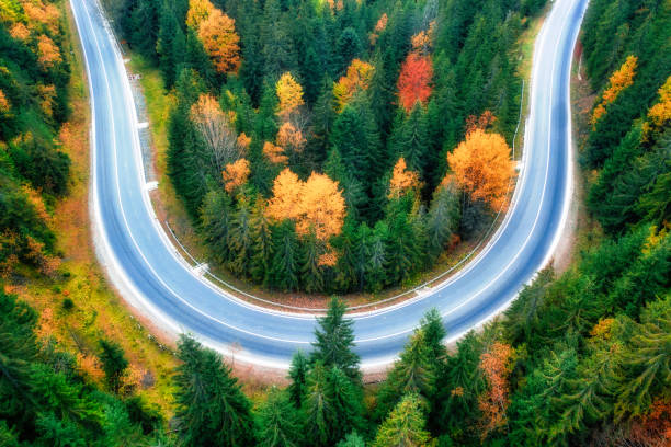istock Drone view of a mountain road in an autumn forest. 1462962185