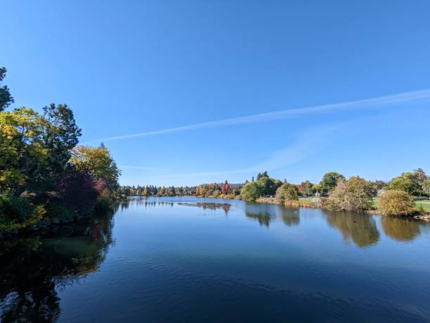 istock Beautiful view of a calm lake surrounded by trees 1462962937
