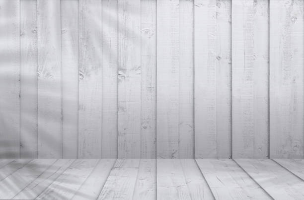 White Wood background,Washed Wooden texture with coconut palm leaf shadow,Vintage wall wood leaves silhouette on stripe surface with leaves overlay,Horizon Backdrop for product background presentation fondo de madera blanca, textura de madera lavada con sombra de hoja de palma de coco, silueta de hojas de madera de pared vintage en la superficie de rayas con superposición de hojas, fondo de horizonte para la presentación del fondo del producto