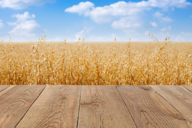 istock wooden empty table and ripe cereal oat field on the background 1462964659