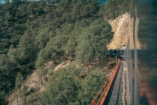 istock Train Chepe Express on the railroads on a sunny day 1462968976