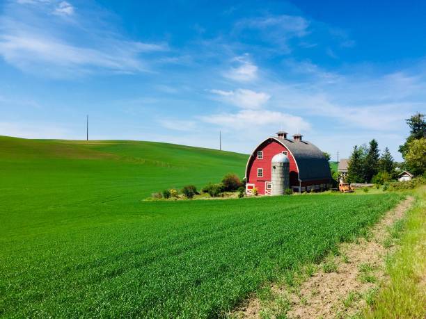 istock Big red building surrounded by green grass on the field on a sunny day 1462969230