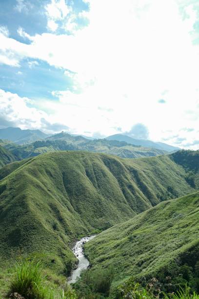 istock Vertical shot of narrow river between green mountains under cloudy sky with sunlight 1462969523