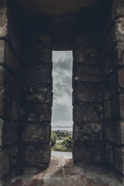 istock Vertical shot of a brick building 1462969590