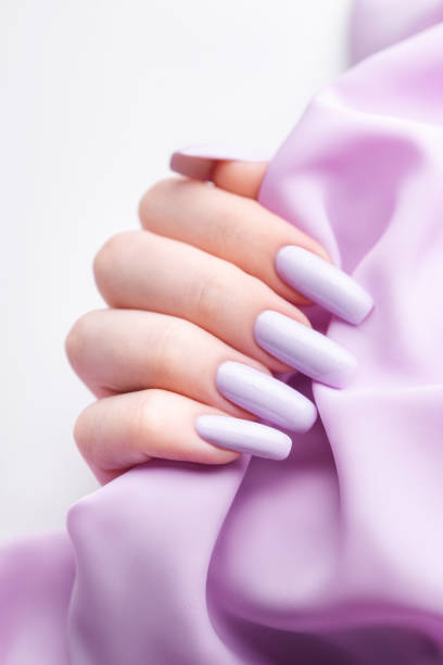 istock Girl's hands with a soft purple manicure. 1462972728