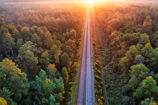 istock The railway runs through the forest. Empty tracks at sunset or dawn. 1462973565