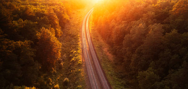 istock The railway through the autumn forest at dawn. 1462973589