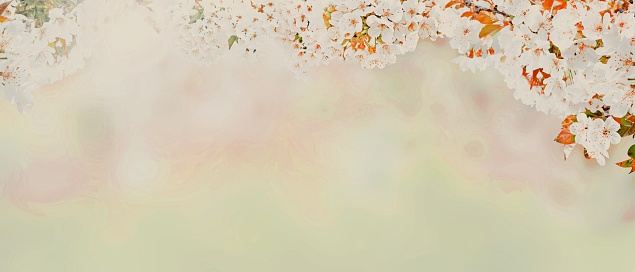 Spring banner background with copy space.