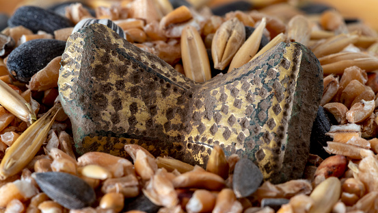 A closeup shot of Iron Age fibula, intact, bronze