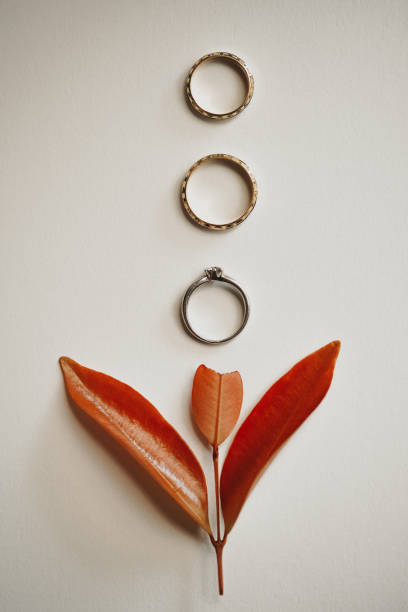 istock wedding ring a symbol of unity 0000 1462977879