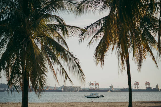 una bella vista frontale della baia di subic - subic foto e immagini stock