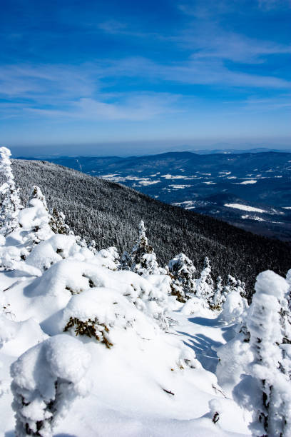 istock Beautiful winter landscape with Mount Abraham covered in snow, Vermont 1462980601