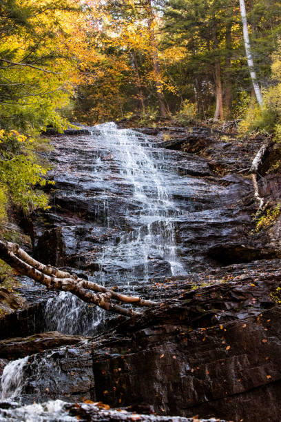 istock Shot of waterfall going down on brown square rocks 1462980625