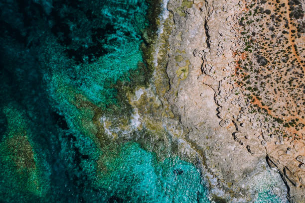 istock Top view of a beautiful beach on a sunny day 1462980965