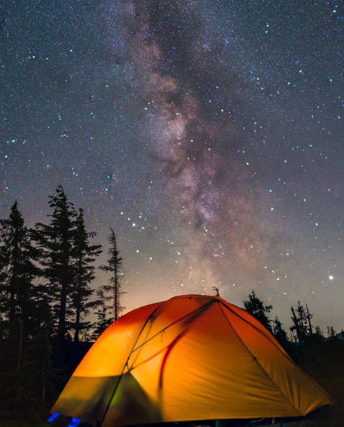 istock Vertical shot of a beautiful galaxy sky over a tent in a forest 1462981507