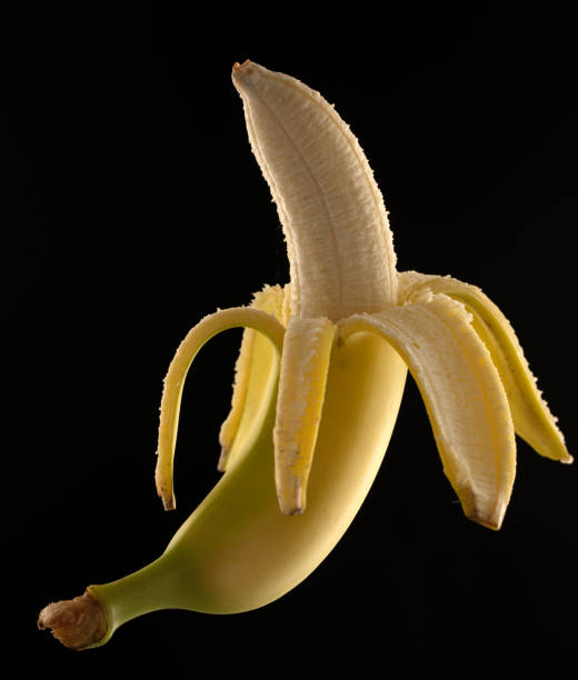istock Banana with open skin on a black background. 1462981841