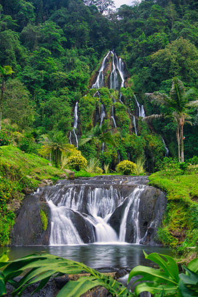 istock Vertical shot of a waterfall surrounded by greenery in Colombia 1462982322