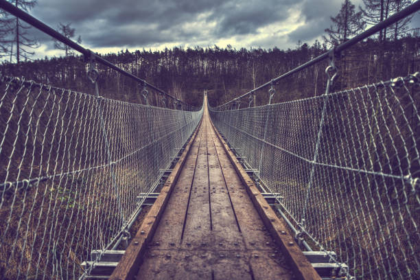 istock Suspension rope bridge in Hohe Schrecke, Germany. 1462985266