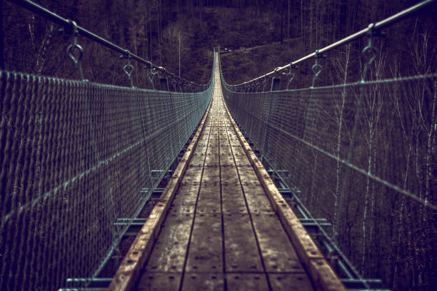 istock Suspension rope bridge in Hohe Schrecke, Germany. 1462985269