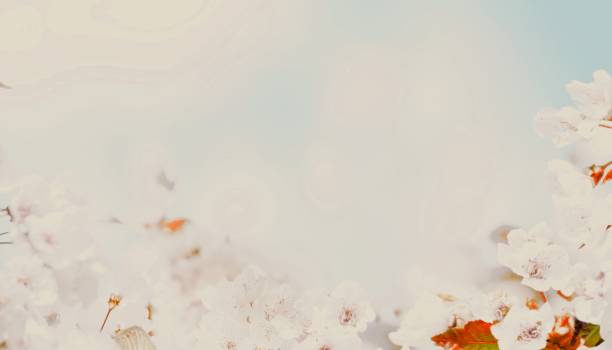 Spring banner background with copy space.