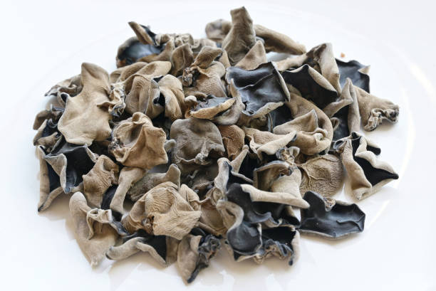 A bunch of dried Chinese black wood ear fungus, Auricularia auricula-judae Black wood ear fungus is a popular ingredient in many Chinese cuisines and is appreciated for its crunchy texture and potential nutritional benefits auriculariales photos stock pictures, royalty-free photos & images