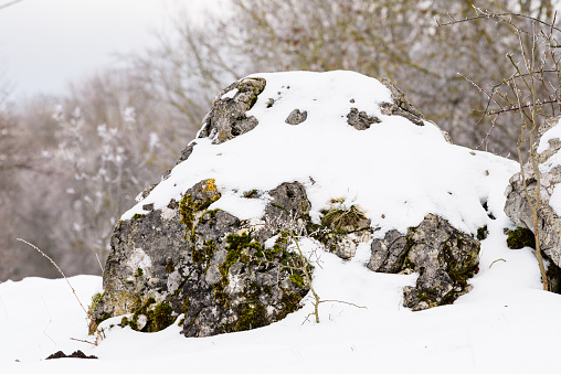 A closeup of a Snow covered stone with moss and grass in german landscape