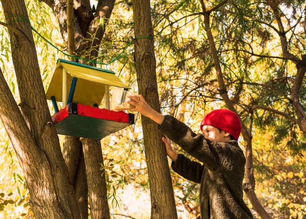 Boy puts feed for birds into self-made birdfeeder hanging at backyard