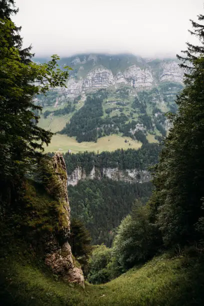 The mesmerizing view of nature in Ebenalp, Switzerland