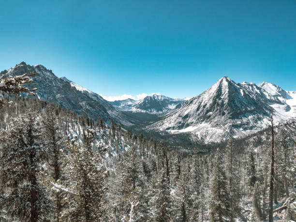 istock Mesmerizing view of snow-capped mountains and trees 1462993275