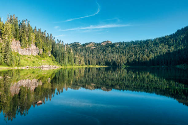 istock Mesmerizing view of a calm lake surrounded by dense trees 1462993295