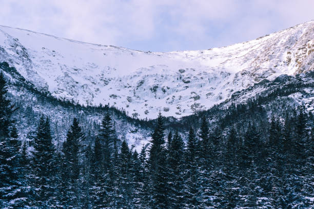 belle vue sur le ravin de tuckerman sur le mont washington, new hampshire - tuckerman photos et images de collection