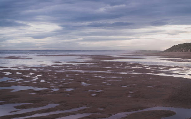 istock Beautiful landscape of a sandy meach on a cloudy day 1462995654