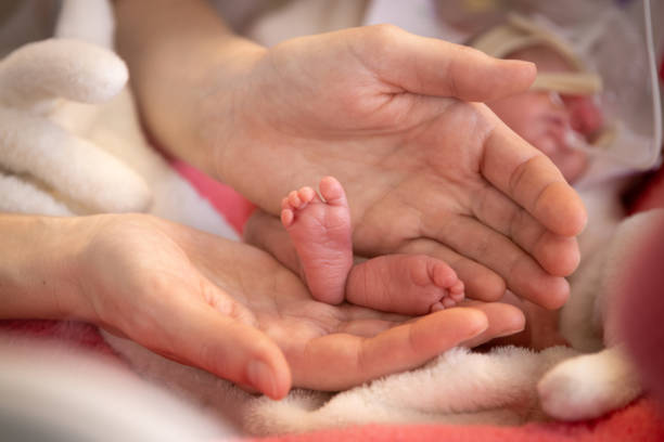 primer plano de una mano de un bebé recién nacido prematuro en la incubadora - premature fotografías e imágenes de stock