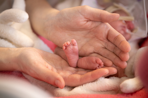 A Closeup of a hand of a premature newborn baby in incubator