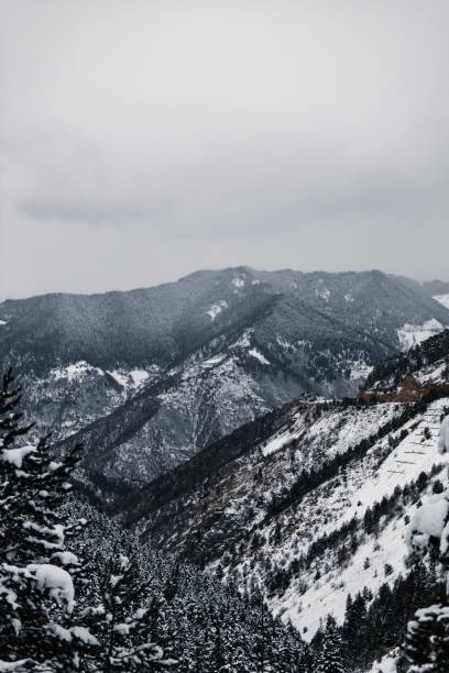 istock Shot of a Snowy mountains and trees 1462996382