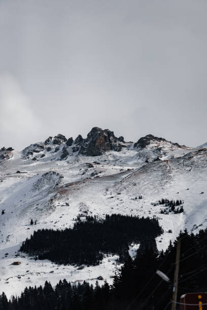 istock Shot of a Snowy mountains and trees 1462996407