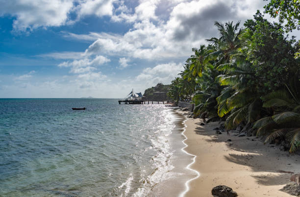 istock Beautiful coastline view of Seychelles 1462999580
