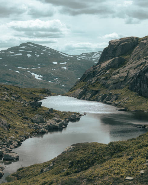 istock Vertical shot of a river streaming through the rocky mountains 1463001594