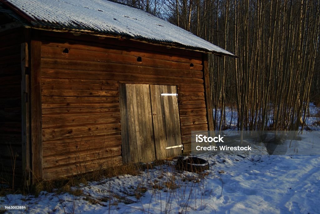 Old shed in the forest Old shed i found in the forest Abandoned Stock Photo