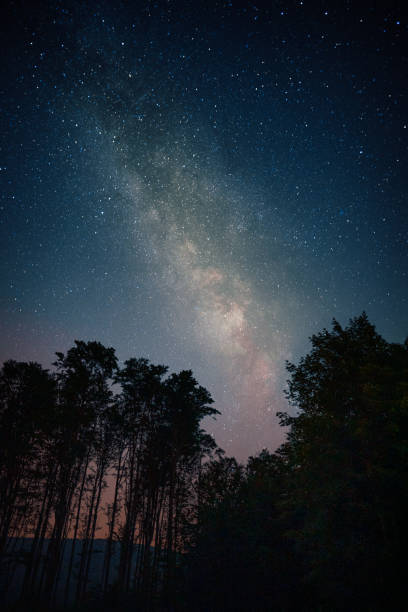 istock Vertical low angle shot of a breathtaking starry sky above a forest 1463004281