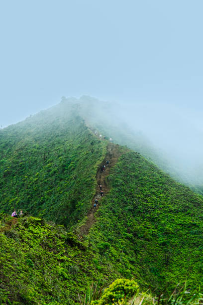 istock Foggy mountain range in Hawaii, Stairway to Heaven trail 1463006085