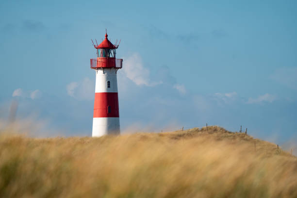 istock Closeup of a lighthouse in a field 1463006115