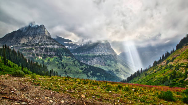 istock Sunlight beaming through the clouds above mountains covered with pine trees in Glacier National Park 1463007919