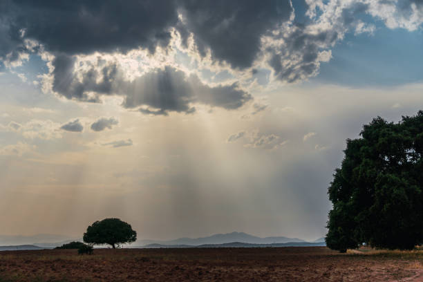 istock Rays of sun passing through a cloud illuminating a field with trees 1463007935