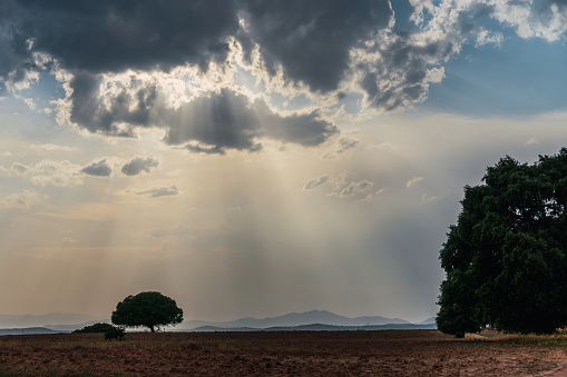 Photo with copy space of a landscape with rays of sun passing a cloud illuminating a field