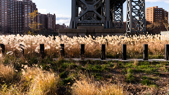The landscape of Manhattan Bridge, New York